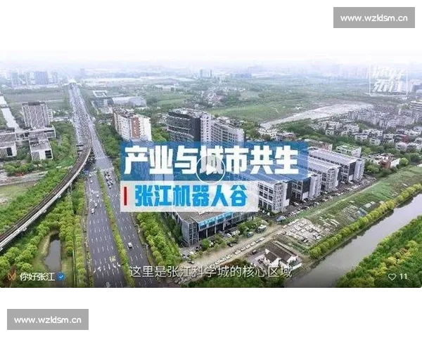 以乐道精神为核心探索现代社会和谐共生的发展新路径